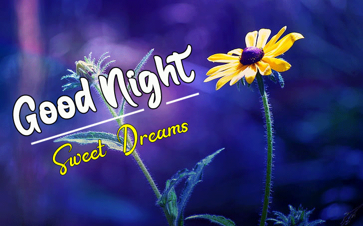 Good Night Image For Whatsapp Free Download HD