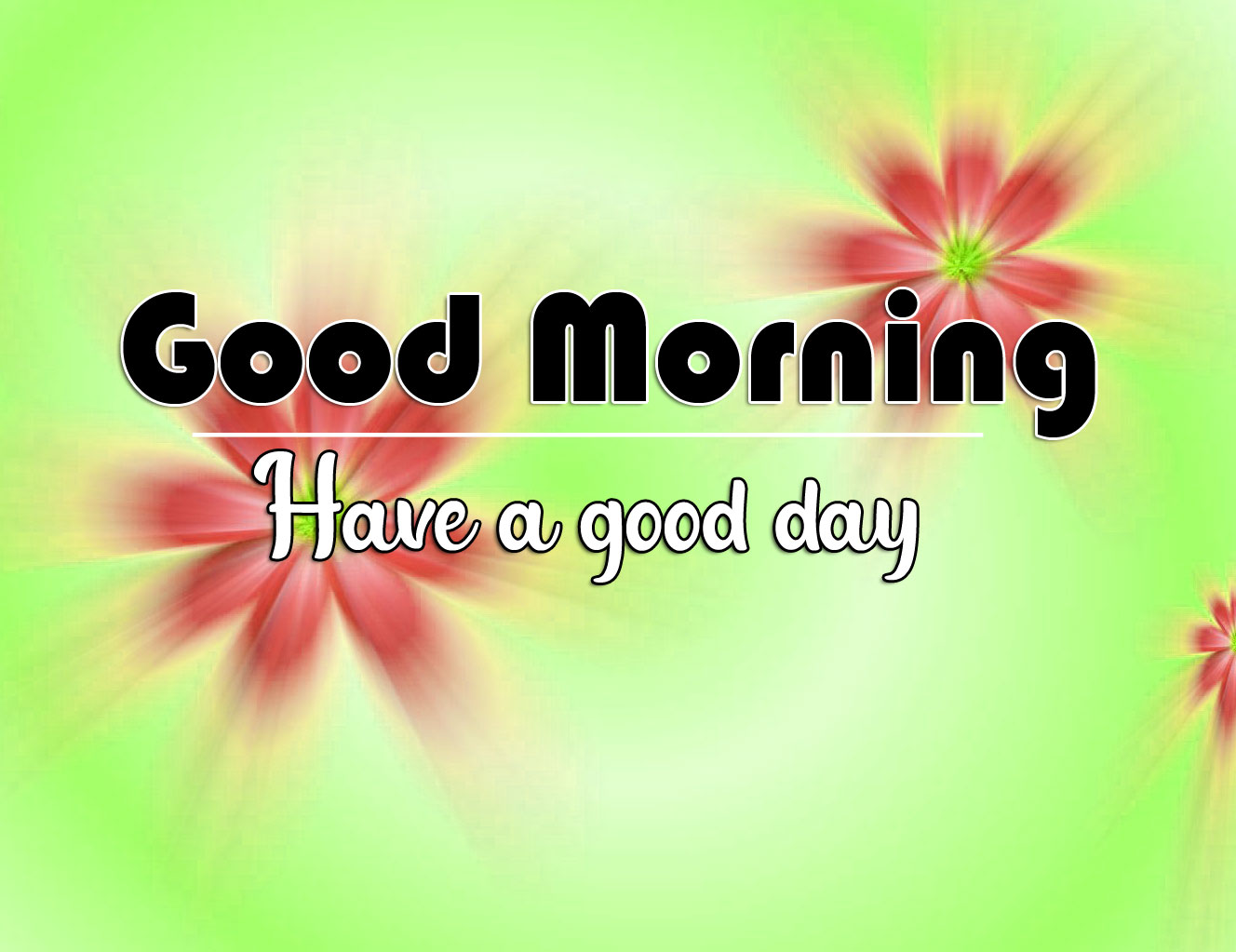 New Top Good Morning Images Wallpaper Download
