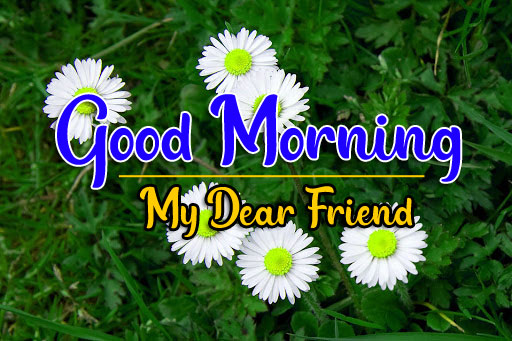 New Top Good Morning all Images Wallpaper