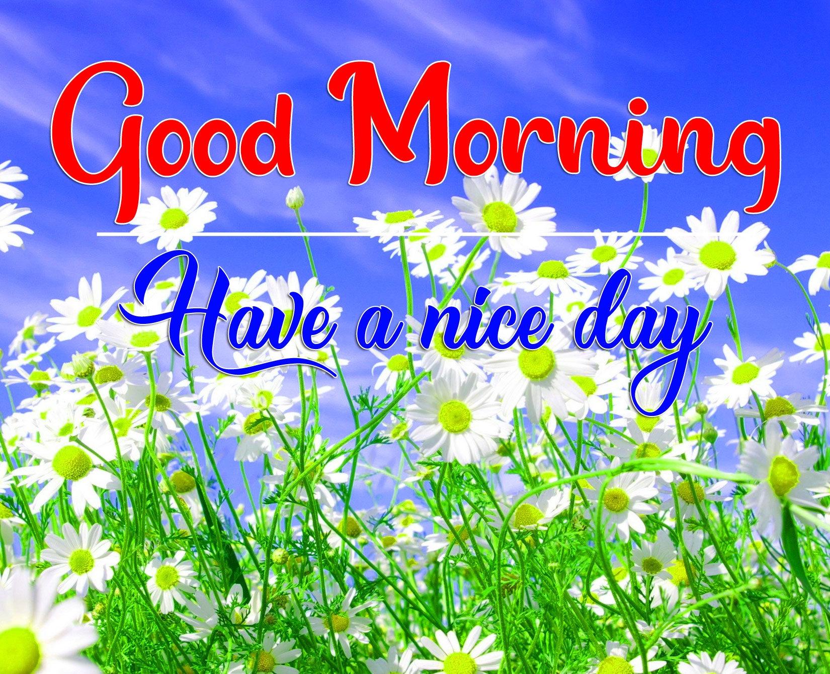 New Top Quality All Good Morning Wallpaper Download