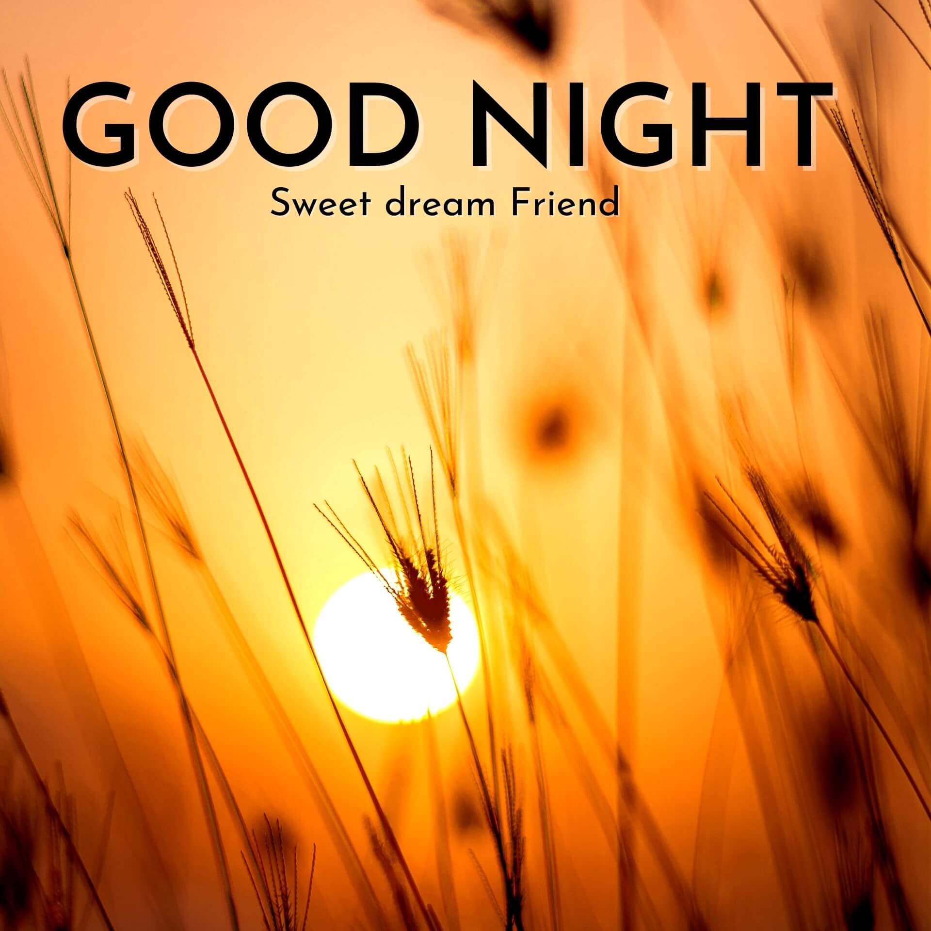 3D Good Night Images Download 1