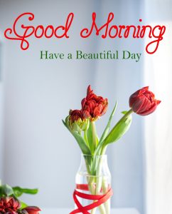 Beautiful Good Morning Images pics photo download