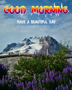 Beautiful Good Morning Images pictures photo hd download