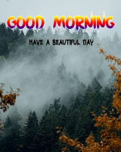Beautiful Good Morning Images wallpaper photo pics
