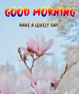 Beautiful Good Morning Images wallpaper pics hd