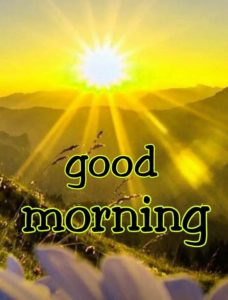 Best Quality Good Morning Images Pics Download