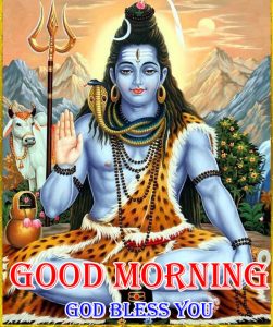 Best Shiva Good Morning Images