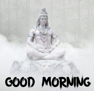 Best Shiva Good Morning Images pics free download 2 1