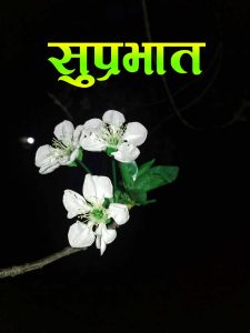 Flower Suprabhat Images Wallpaper