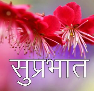 Flower Suprabhat Images Wallpaper Free