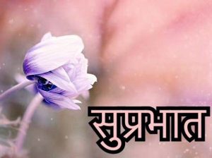 Flower Suprabhat Wallpaper Pics Photo Download