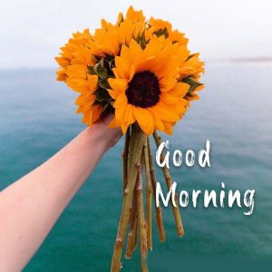 Flowers Love Good Morning Photo Download