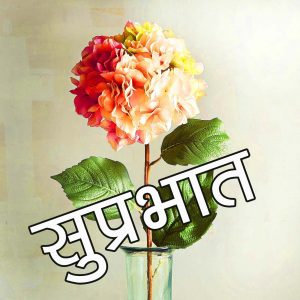 Free Flower Suprabhat Wallpaper Pics