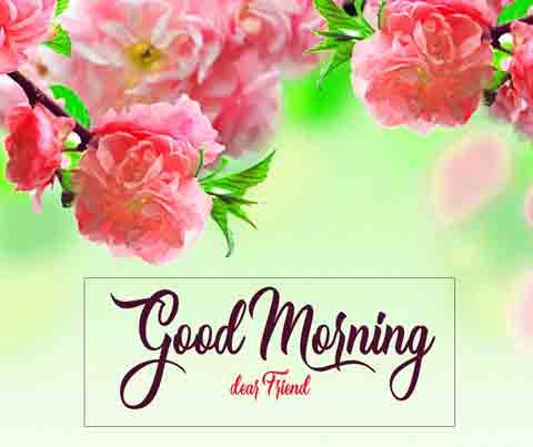 Good Morning Images Free Download For Whatsapp HD Download