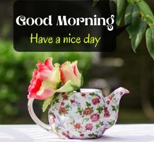 Free HD Good Morning Images Pic Download