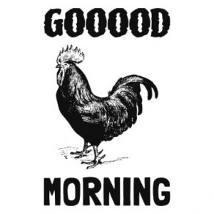 Free HD Good Morning Rooster pics images