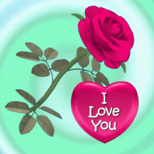 Free HD I love you Images With Red Rose