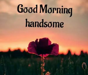 Free HD Lover Good Morning Wishes Images Download