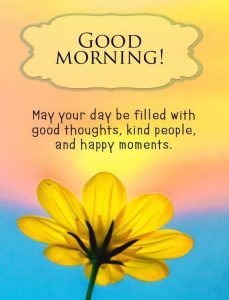 Free HD Sunshine Good Morning Wallpaper Download