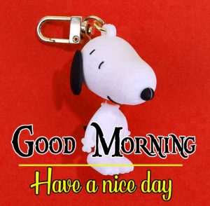 Free HDSnoopy Good Morning Wishes Images Pics Download