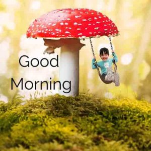 Free Morning Images Pics Download