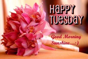 Free Tuesday Good Morning Images Wallpaper