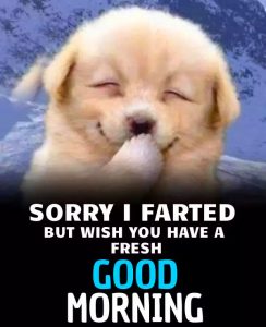 Funny Good Morning Pics Images With Puppy