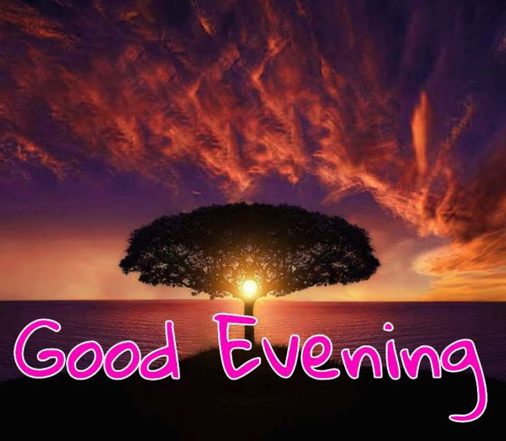 82+ Lovely Good Evening Images HD Download