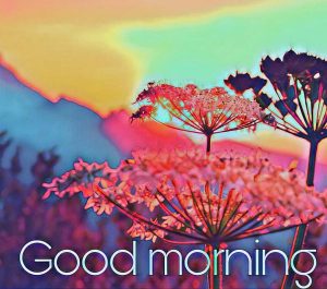 Good Morning Art Images Photo Download