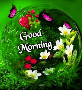 Good Morning Images Wallpaper for Whatsapp