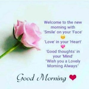 Good Morning Images Wishes Pics
