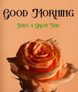 Good Morning Images pictures photo download