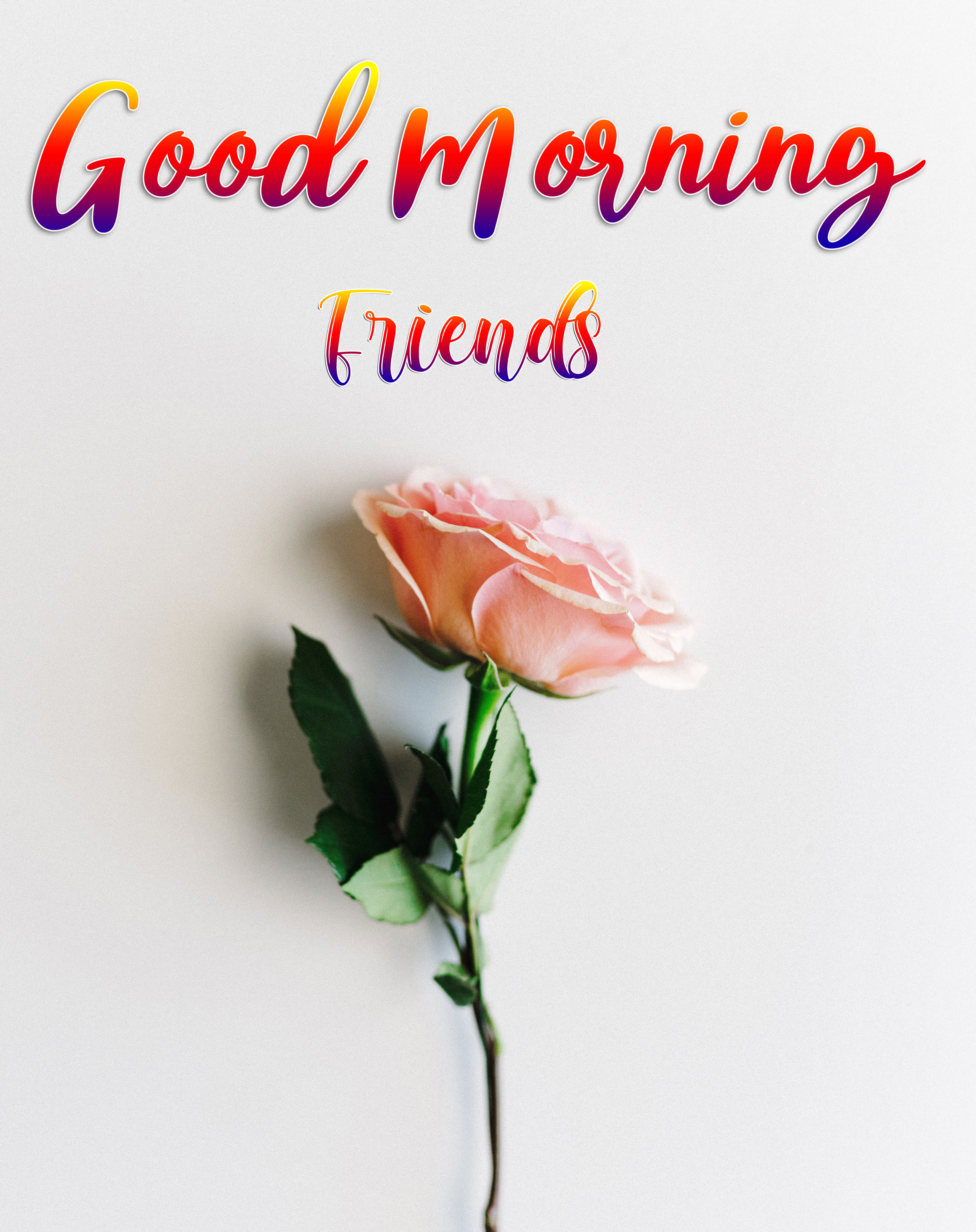 Good Morning Images Free Download For Whatsapp HD Download