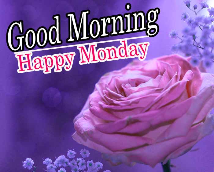 181+ Good Morning Monday Images Photo Wallpaper For Whatsapp