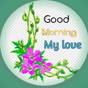 Good Morning My Love Images Pics Free Download