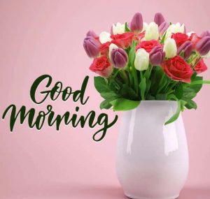 Good Morning Wallpaper Pics Images With Flower