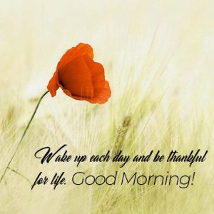Good Morning Wishes Images Download