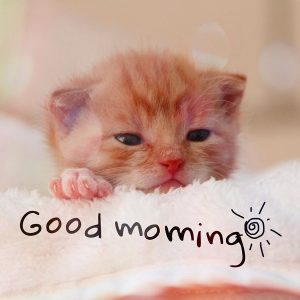 Good Morning Wishes pics 1
