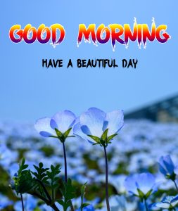 Latest Beautiful Good Morning Images photo download