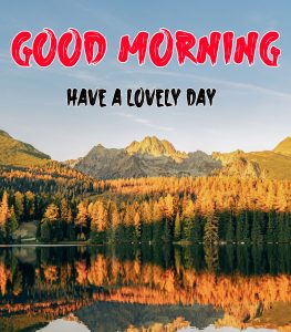 Latest Beautiful Good Morning Images pics free download