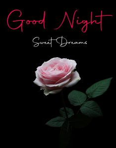 Latest Best Good Night Images pics for status