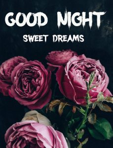Latest Best Good Night Images pics free download
