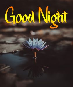 Latest Best Good Night Images pictures photo download