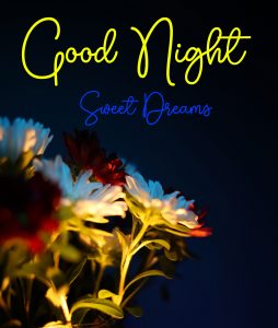 Latest Best Shubh Ratri Good Night Images pictures photo download 2