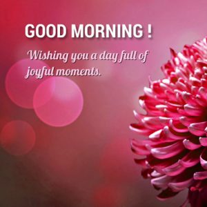 Morning Wishes for Someone Special