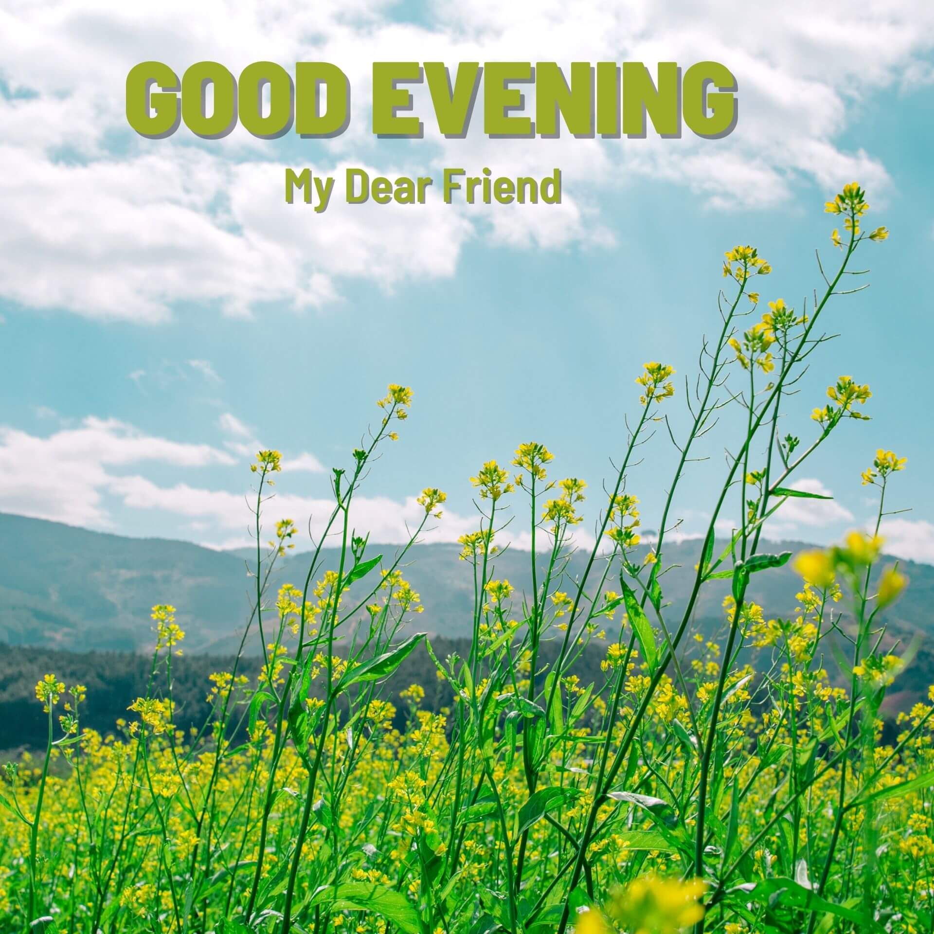 Nature Good Evening Wallpaper HD Download 2023