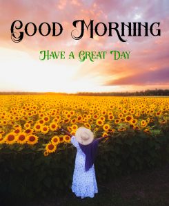 New Good Morning Images pictures photo download