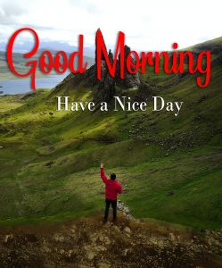 New Top Beautiful Good Morning Images download hd