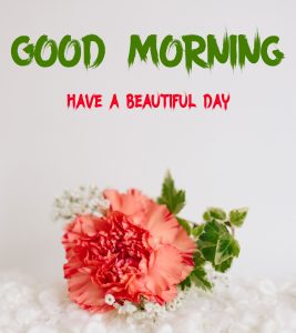 Nice Good Morning Images wallpaper photo for download