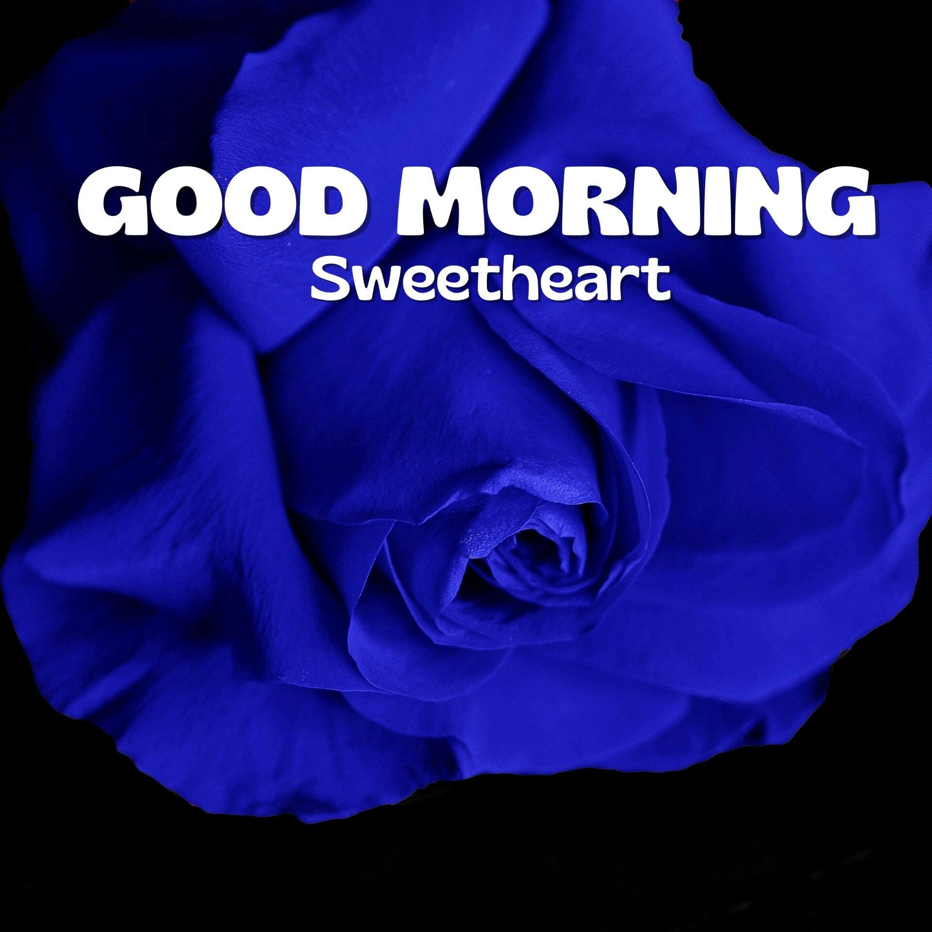 Romantic Good Morning Wallpaper pics Download 2